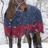 EQUI THEME TYREX 1200D 450G WINTER-PADDOCKDECKE